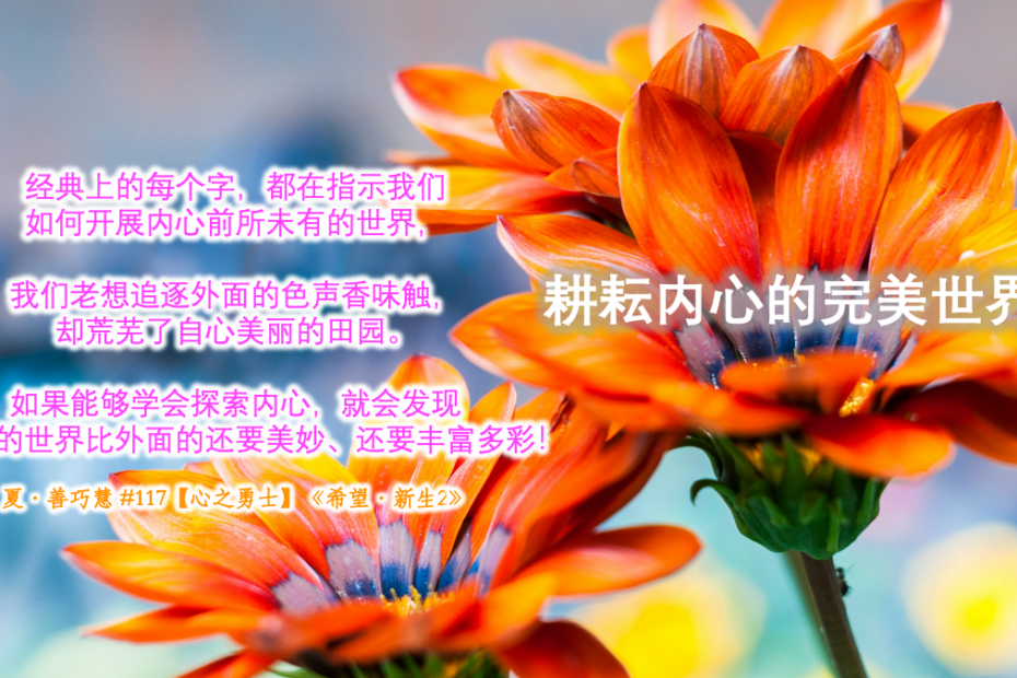 【心之勇士】耕耘内心的完美世界